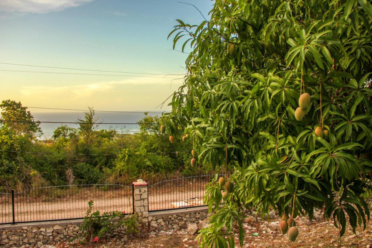 Sunshine Lodge: Your Home Away From Home Μοντέγκο Μπέυ Εξωτερικό φωτογραφία