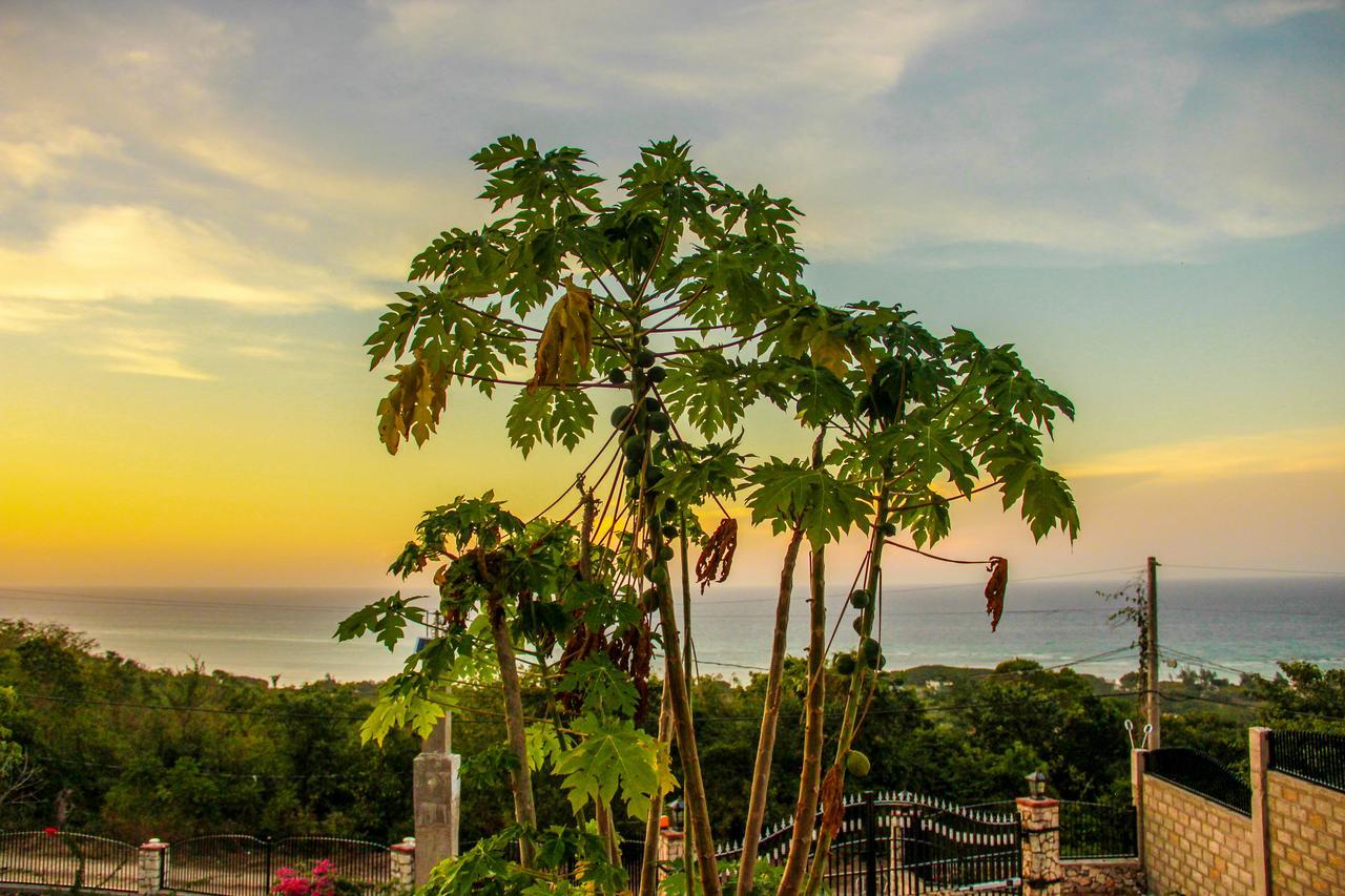 Sunshine Lodge: Your Home Away From Home Μοντέγκο Μπέυ Εξωτερικό φωτογραφία